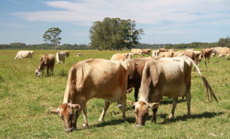 Embrapa Clima Temperado marcou presença no 7º Agrotecno Leite em Passo Fundo