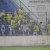 Bra-Pel 353 (Brasil 0 x 0 Pelotas) – Estádio Boca do Lobo – Fotos: Alisson Assumpção/DM