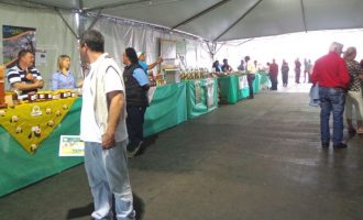 Inscrições para empreendimentos na Expofeira vão até quarta-feira