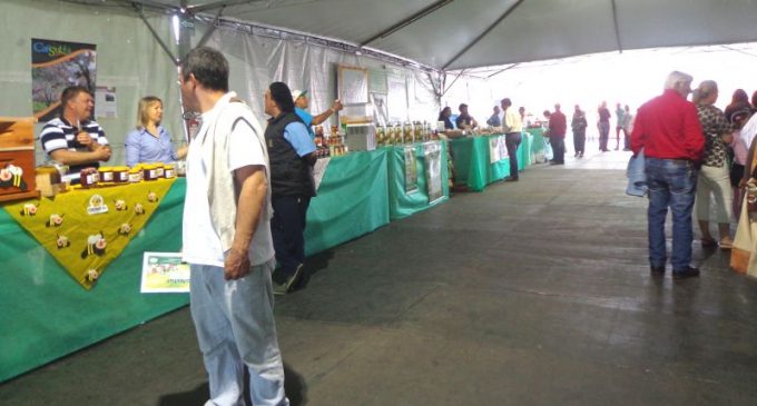 Inscrições para empreendimentos na Expofeira vão até quarta-feira