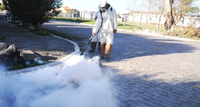Mosquitos: Vereador pede aplicação imediata do fumacê