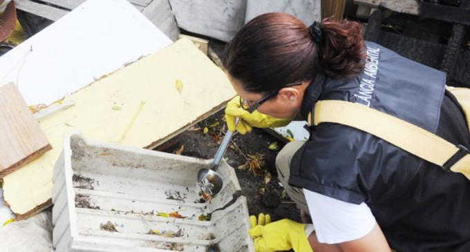 Mutirão de combate a mosquitos acontece quarta-feira no Laranjal