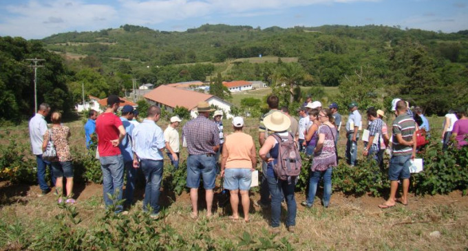Dia de Campo apresenta agroecologia como alternativa na agricultura familiar