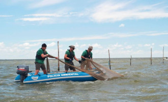 OPERAÇÃO GOLFINHO :  PATRAM combate pesca irregular no litoral