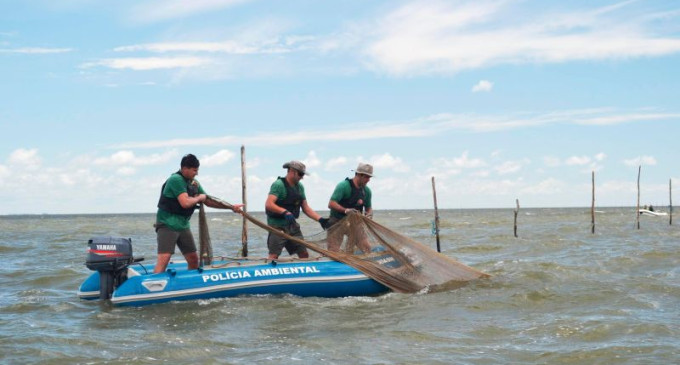 OPERAÇÃO GOLFINHO :  PATRAM combate pesca irregular no litoral