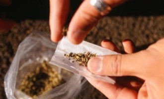 DROGAS:  Traficante preso custa 40 vezes menos que solto