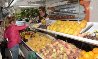 Grupo Mendes mantém tradição na venda de frutas a 37 anos