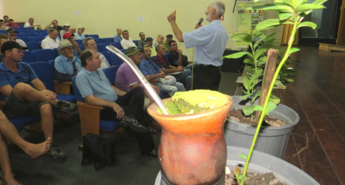 Seminário em Canguçu discute o potencial da Erva Mate na região