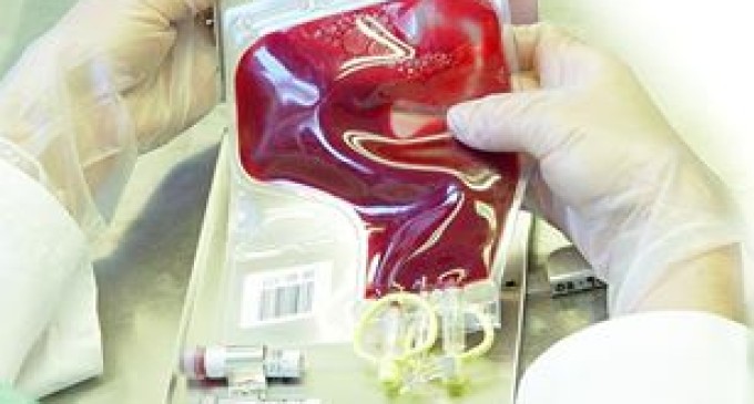 UCPel movimenta comunidade acadêmica para doação de sangue