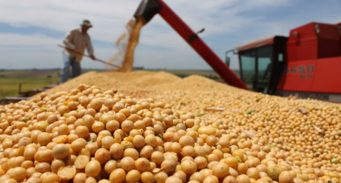 Produção brasileira de grãos deve ser de 196,5 milhões de toneladas