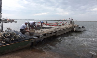 “Operação Farfante” combate a pesca predatória e apreende 30kg de Camarão