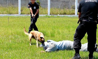 Susepe abre concurso para agentes penitenciários