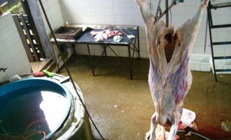Operação conjunta apreende 509 quilos  de carne ilegal