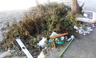 Vereador Salvador Ribeiro pede mais limpeza nas ruas do município