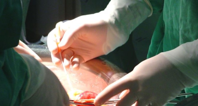 Primeiro transplante renal com doador falecido acontece no HUSFP
