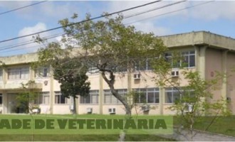 Faculdade de Veterinária disponibiliza novo site