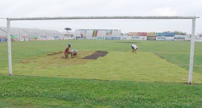 FARROUPILHA : Se reorganiza para subir