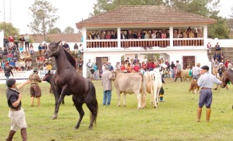 88ª EXPOFEIRA : Associação Rural já comercializa espaços