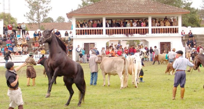 88ª EXPOFEIRA : Associação Rural já comercializa espaços