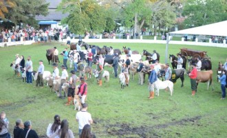 OUTUBRO : Associação Rural organiza o lançamento da 92ª Expofeira