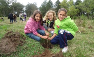 ARROIO MOREIRA : Plantio de mudas estimula conscientização ambiental