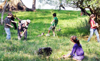 MEIO AMBIENTE : Comunidade replanta o Barro Duro