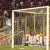 Brasil 3 x 1 Londrina – Semi-Final Campeonato Brasileiro Série D – Estádio Bento Freitas – Fotos:Alisson Assumpção/DM