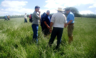 DIA DE CAMPO : Pastoreio rotativo pauta evento