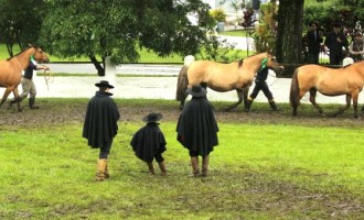 Mais uma Expofeira de sucesso :  Associação Rural divulga balanço da multifeira que reuniu em torno de dois mil animais e público de 30 mil pessoas