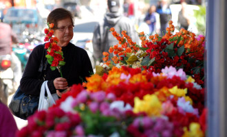 Estão abertas as inscrições para venda de flores no Dia de Finados