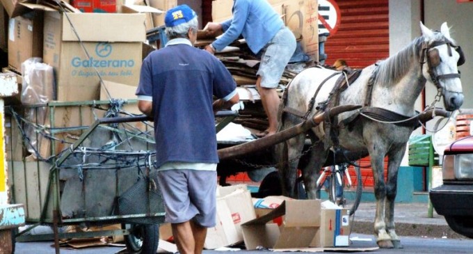 Cooperativa de Catadores seleciona 8 toneladas de lixo por mês em Pelotas