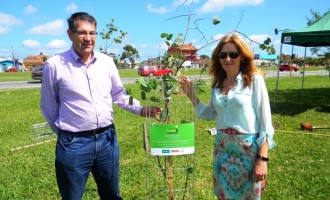 Unimed Pelotas realiza plantio de árvores