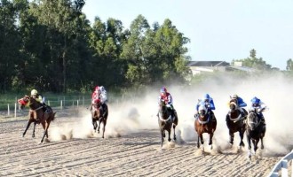TURFE : Tablada terá corridas no domingo
