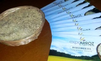 4ª EXPOARROZ : Embrapa apresenta cultivares de arroz irrigado e discute Segurança Alimentar