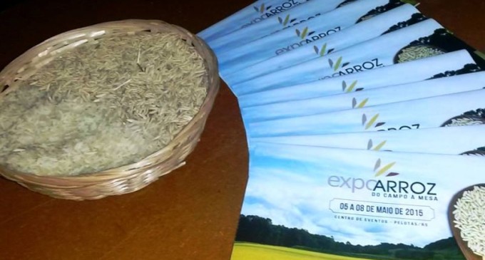 4ª EXPOARROZ : Embrapa apresenta cultivares de arroz irrigado e discute Segurança Alimentar