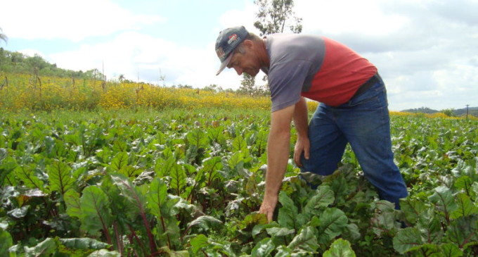 AGRICULTURA FAMILIAR :  Plano Safra disponibiliza R$ 28,9 bilhões