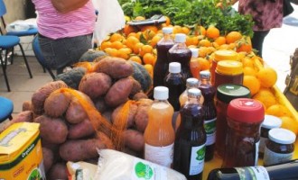 FEIRA ECOLÓGICA : Foro realiza projeto piloto e cadastra os fornecedores