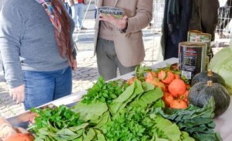 MERENDA ESCOLAR : Produtos da agricultura local representam 40%