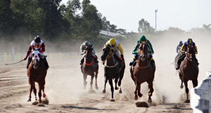 TURFE : Domingo tem corridas na Tablada
