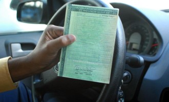 Calendário de licenciamento de veículos termina em 31 de julho
