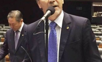 CÂMARA FEDERAL : Deputado Hamm homenageia aos 203 anos de Pelotas