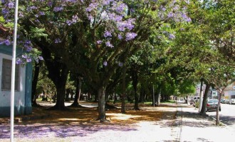 FEIRA DA BENTO : Novo local será o entorno do Parque Dom Antônio Záttera