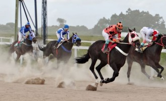TURFE : Tablada terá corridas no domingo