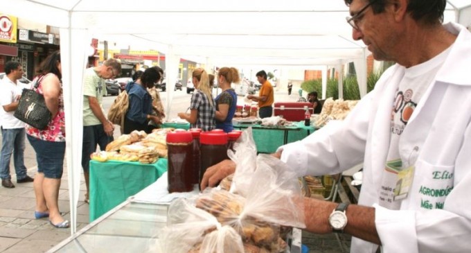 Nova edição da Feira Bem da Terra