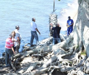 INVASÃO das águas da lagoa comprometem diversas árvores