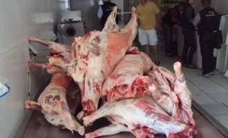 Operação combate abigeato e comércio irregular de carne