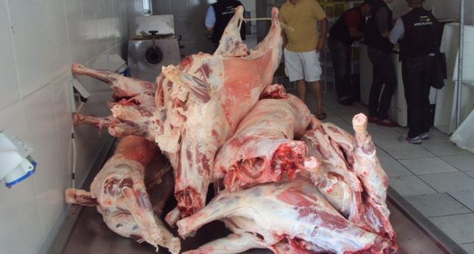 Operação combate abigeato e comércio irregular de carne