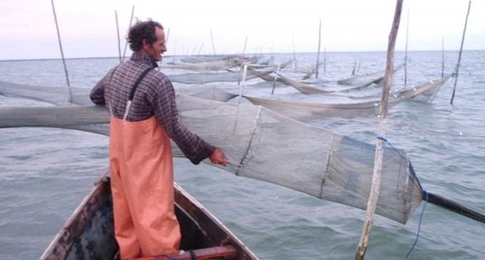 COLÔNIA Z3 : Pescadores já fazem avaliações para a próxima safra de cama-rão