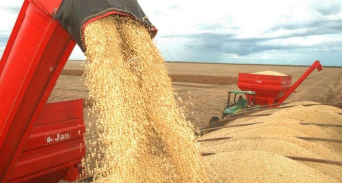 Conab estima produção de grãos na safra 2023/24 em 312,3 milhões de toneladas influenciada por clima