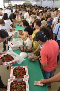 EXPECTATIVA dos organizadores é receber 15 mil pessoas